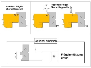PM-Haustür-Doppelfalz C543