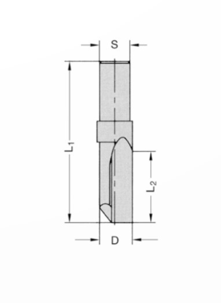 Oberfräser VHW 10x55X22 20038610000R