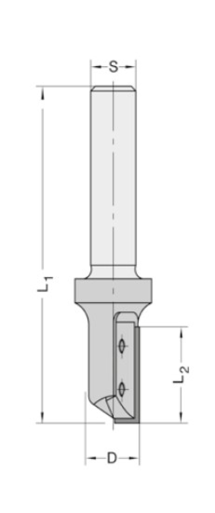 Wendeplatten-Nutfräser 10x25x80x12 x 40 22346-5-10025-D